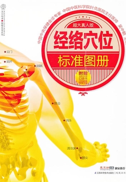 经络穴位标准图册