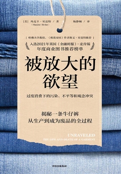 被放大的欲望