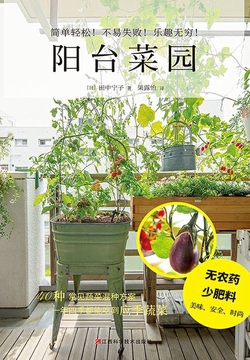 阳台菜园