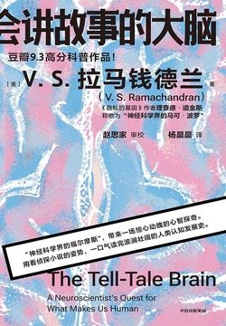 会讲故事的大脑