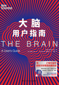 大脑用户指南