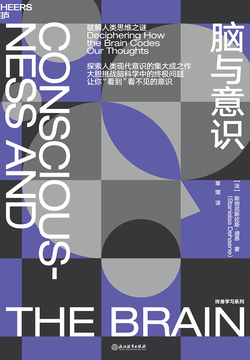 脑与意识