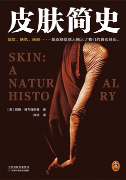 皮肤简史