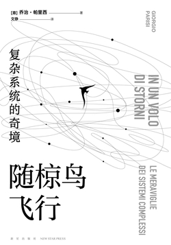 随椋鸟飞行：复杂系统的奇境